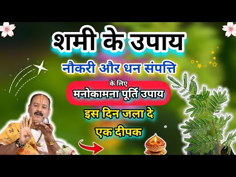 शमी के पौधे सामने इस दिन जला दे एक दीपक, मनोकामना पूर्ति उपाय, शमी के उपाय, pandit pradeep mishra