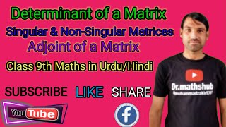 Singular, Non-Singular, Determinant & Adjoint of a Matrix. Class 9th Maths in Urdu/Hindi
