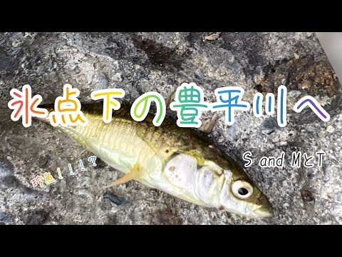 【渓流餌釣り】氷点下の朝、豊平川へTくんと一緒に釣りに来ました。寒がりのTくんは釣ることが出来るのでしょうか。