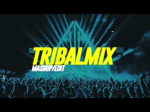 EDM เปิดในผับ 2025 - TRIBAL HOUSE / EDM MIX #96