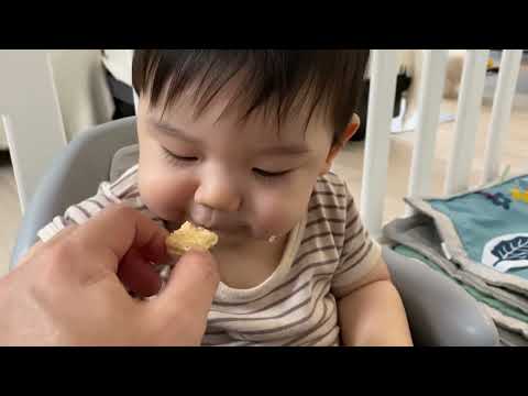 初ウエハース！美味しそうに食べる👶🏻【10ヶ月】