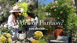 Trying To Keep Up With My Garden | Life is harder than I expected