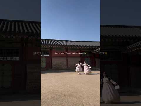 念願韓服着れた‼️‼️‼️ #브이로그 #vlog #韓国旅行 #韓服 #景福宮