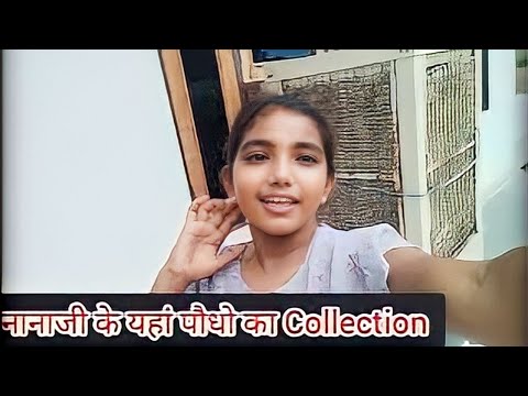 नानीजी के यहां पौधो का Collection,#viralvideo #trendingvideo #video #viral#trend#youtube#youtubers#