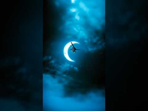 Demon slayer 4k edit #anime #edit #demonslayer #akaza #rengoku #douma #reels #tengenuzui #muichiro