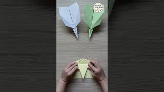 Paper Airplane #fyp #paperairplane #diycrafts #funproject #tiktokdiy #easycrafts #satisfying