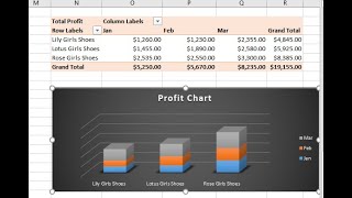 Excel Pivot Table and Pivot Chart For Beginners