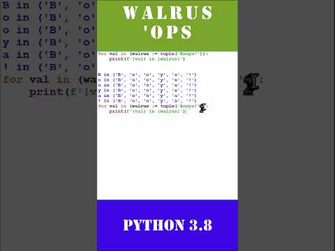 Walrus Interviewers #education #pythoneering #python  #coding #interviewquestionsandanswers #nagy