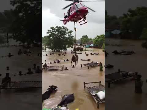 Rescue the Monkeys in Flood🐒🚁😒#aigenerated #rescuemonkeys #flood #nothingispermanent #youtubeshorts