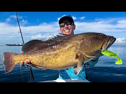Biggest grouper EVER caught in Tampa Bay??? Nearly knocked me out!💥🥊