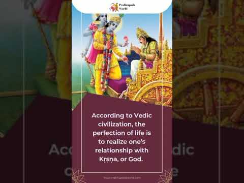 Krishna The Supreme Personality  #prabhupada #krishna #shorts #bhagavadgita #prabhupadaworld