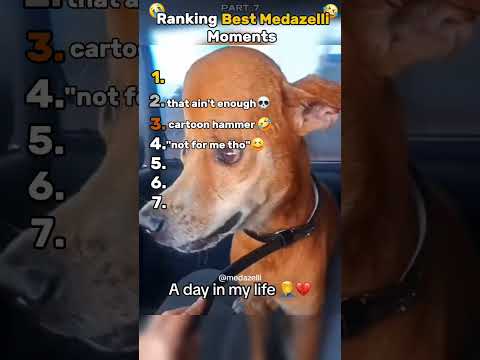 Funniest Medazelli😂 #ranking #tiktok #medazelli