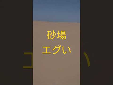 砂場を歩くぼっちさんの目線 #散歩 #ぼっち #shorts