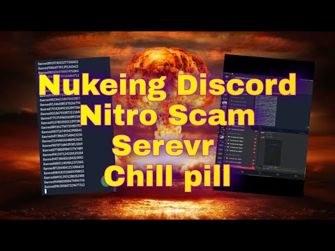 Nitro Scam Server Nuked | 1.4k to 200 | Rainite org