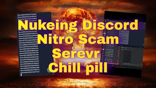 Nitro Scam Server Nuked | 1.4k to 200 | Rainite org
