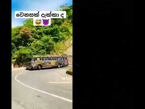 Kumbiyo bus dj premier ™®©