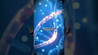 🧬 Your Beliefs About Genetics Can Change Your Biology! #andrewhuberman #neuroscience