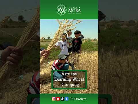 🌾 Astrians Step Into Farming | Wheat Crop Training at RUDN Astra