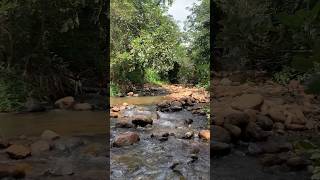 Surprising Powers of a Water Stream #naturalliving #stressrelief #anxiety #boostcreativity #mood