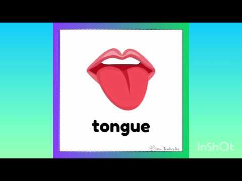 Flashcards of body name for class Nursery and KG