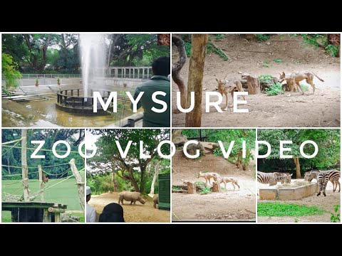 Mysore zoo vlog video (INDIA)| friend blog | prem kumar/Tur Enjoy For Time Android 2023 #vlogs#viral