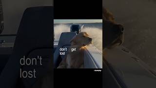 “You and me is more than a hundred miles…✨️” #HundredMiles #FeelGoodVibes #ViralSong #YTShorts #fypシ
