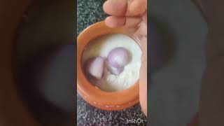 Fermented Curd Rice For Healthy Gut : Breakfast Recipe #healthy #curd #yogurt #rice #easy