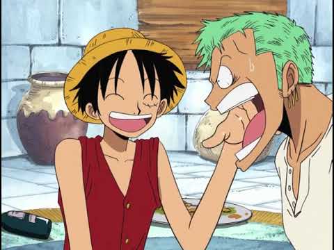 Zoro is dumber than a bird | English DUB