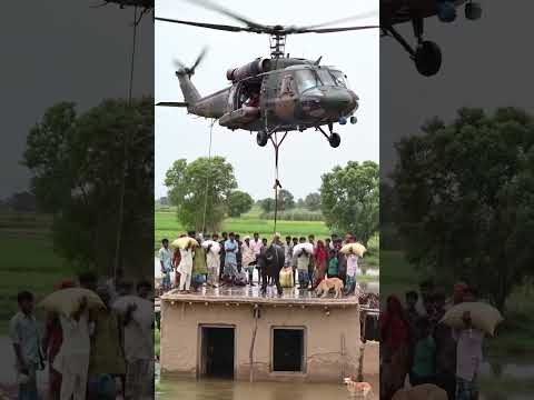 Rescue Buffalo in Flood #ytshorts #plz_subscribe_my_channel #plzsupport #viralvideo #youtubeshorts