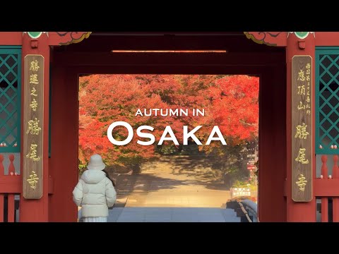 Osaka in autumn 🍂 | minoh falls, katsuoji temple, red maple leaves | JAPAN vlog