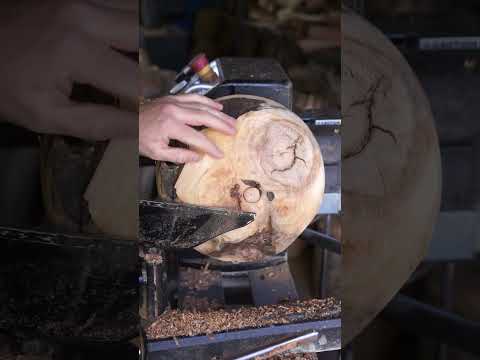 Making a Bowl From a HATED Tree #woodworking #trees #shorts