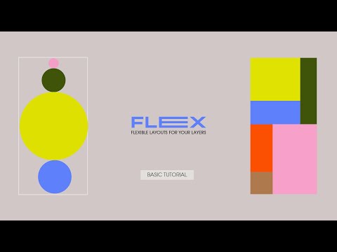 Flex Tutorial - Basic
