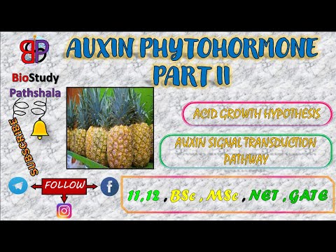AUXIN PHYTOHORMONE PART II || Plant Physiology || Life Sciences || Botany