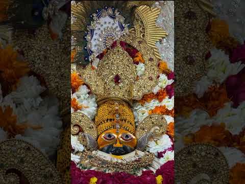 Shri Khatu Shyam Ji Darshan #shortsfeed #shortvideo #shortsyoutube