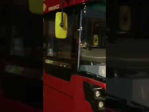 Foxy Lady Bus Driver
