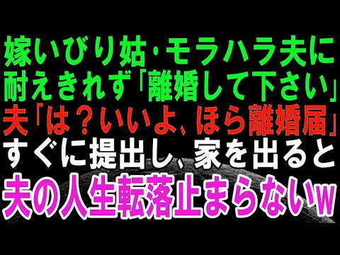 【スカッとする話】嫁いびりする姑。モラハラばかりする夫。私「離婚してください」夫「は？いいよ。ほら離婚届！」すぐに離婚届提出して出て行って復讐した結果、夫の人生転落度合いがヤバいｗ