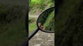 #amazinggilgitbaltistantravel  #amazingview