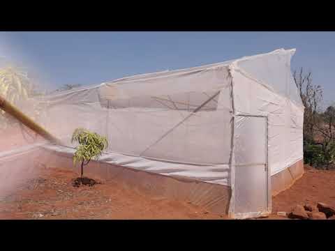 Bamboo Polyhouse Revised Shorter Video