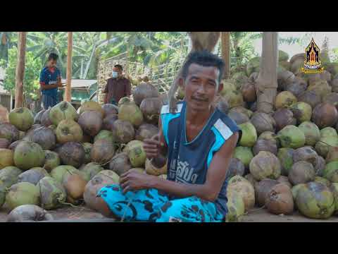 ชุมชนคุณธรรมบ้านดอนไทรงาม อำเภอเมืองชุมพร จังหวัดชุมพร