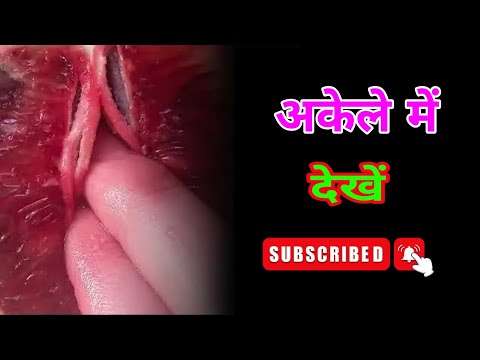 Suvichar 😀 | romantic story in hindi | Hindi story | motivational story | important Suvichar
