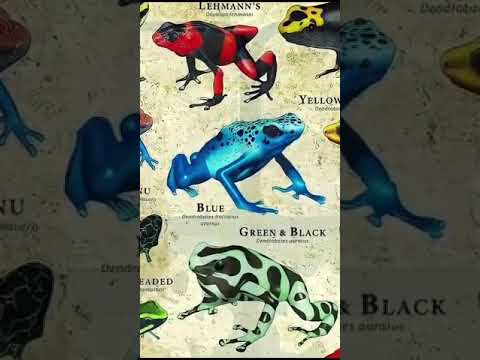Types Of Frogs | The BLUE FROG! #shorts #scary