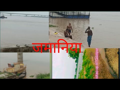 जमानिया Ganga flooded again/LatestUpdate Ganga Flood 2025 #rasidahamad #gangaflood 