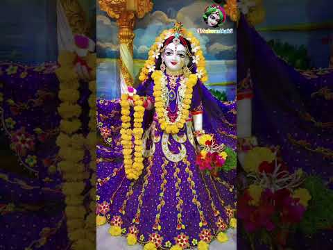 meri swamini pyari radha rani bhajan #vrindavan_bhakti #shorts #viral #shortsviral #trending