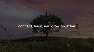 What is The Curious Mindset, and why should technology leaders join our FREE community?