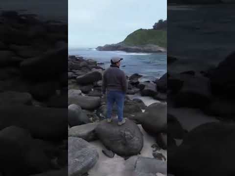 insta 360