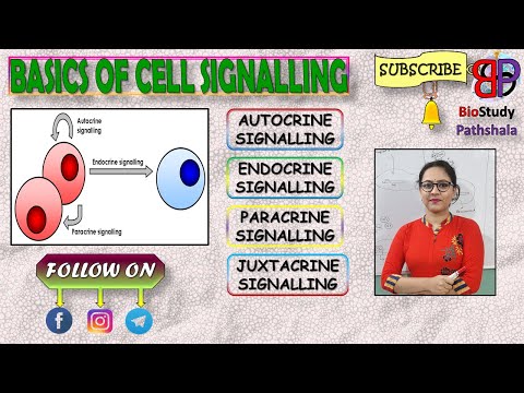 BASICS OF CELL SIGNALLING || Cell Signalling || Life Sciences || BioStudy Pathshala