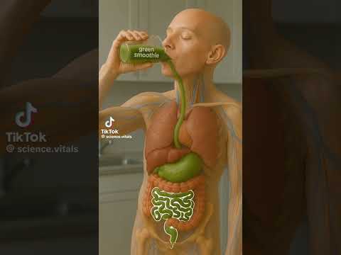 science in motion #3d #medicosphere #medical #viral #shorts #anatomy #physiology #medicos #biology