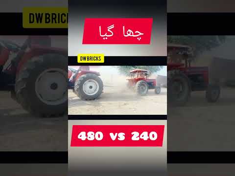 mf 240 vs fiat 480 | tractor mukabla | Dw bricks #shorts