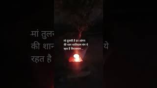 Tulsi Pujan Diwas #spiritualmonth #kartikmass #tulsimaa