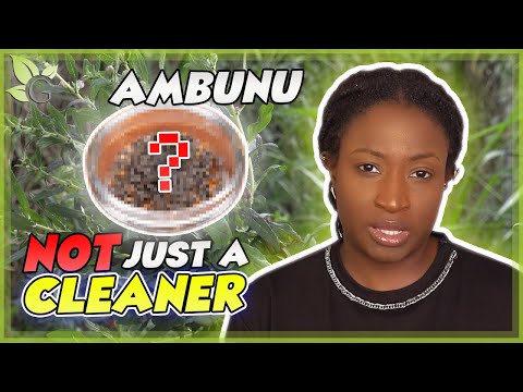 The Science of Ambunu (Scientific Facts)